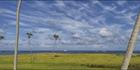 Lord Howe Island - NSW (PBH4 00 11781)